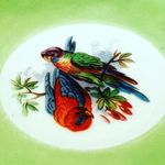 Naomi Powell Collections - @naomipowellcollections - Instagram