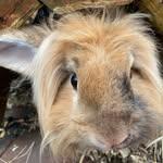 Naomi Sheldon - @naomi.sheldon.75 - Instagram