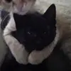 naomi☆ - @naomisilval - TikTok