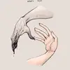Naomi_Silverwood - @naomi_silverwood - TikTok