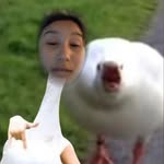 Naomi Spence - @naomispence38 - Instagram