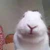 naomiiiii - @naomi.spencee - TikTok