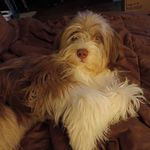 Naomi Jean Stepp - @jeanie3262 - Instagram