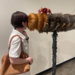 Naomi Terrell - @froufrou_damselflies - Instagram