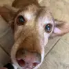 Naom1Webb - @naomi.webber2 - TikTok