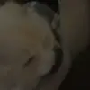 Napoleón Alejandro - @michellacosta606 - TikTok
