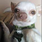 Napoleón Alejandro González - @napirin_28 - Instagram