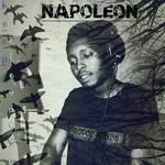 Napoleon - @napoleon_foxen - Instagram