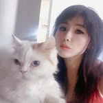 Napoleon Green - @menashiao - Instagram