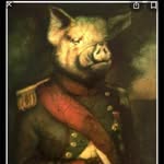 Napoleon The Pig - @napoleon_the_wise_pig - Instagram