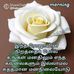 Narayanan Subramanian - Facebook