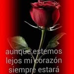 Narcisa Perez - @narcisapa1970 - Instagram