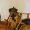 narcisogalvez21 - @narcisogalvez21 - TikTok