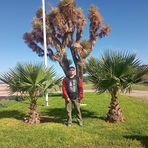 Narciso Lara Valenzuela - Facebook