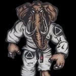 Narciso Pedro da Silva - @narciso_pedro_bjj - Instagram