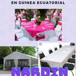 Narciso Pedro Nsue Ndong - @narcisopedronsue - Instagram