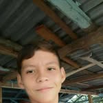 Narciso Rosa - @narciso.rosa.77 - Instagram