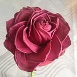 Narciso Rosa - @narciso_rosa - Instagram