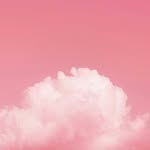 Narciso Rosa - @pinknarciso - Instagram