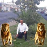 Narciso Sanchez - @narciso.sanchez.96742 - Instagram