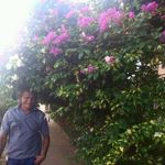 Narciso Sanchez - @narciso.sanchez.7 - Instagram