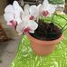 Narda Gonzalez - Facebook