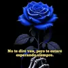 narda hernandez - @hernandeznarda - TikTok