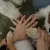 Narda Rodriguez - @narda.rodriguez31 - TikTok