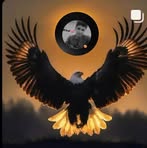 Narendra Singh Parihar - Facebook