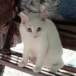 Naresh Babu - Facebook