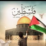 Nariman Ahmed Mansour - @nariman.mansour - Instagram