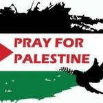 Nariman Mansour - @nariman.mansour.5 - Instagram