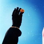 Nariman Mansour - @nariman_monsour - Instagram