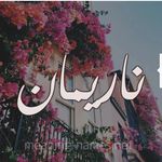 Nariman_mansour - @nariman_mansour5 - Instagram
