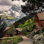 Nariman Mansour - @nariman.mansour_1 - Instagram
