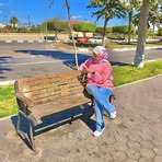 Nariman Shehata - Facebook