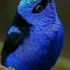 user871810 - @samnarinas - TikTok
