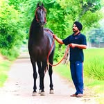 Narinder Singh - @_narinder_somal - Instagram