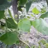 Narindersingh - @Narindersingh - TikTok
