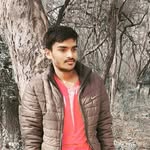 Narinder Verma - @narinder.verma.5203 - Instagram