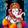 Narinder verma - @verma.com99 - TikTok