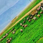 Naser Hamad - @naser.hamad.5473 - Instagram