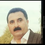 Saghez Helya - @naser__hasanpur - Instagram
