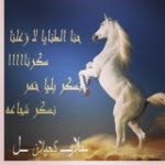 Naser Jamal - @njm1852008 - Instagram