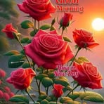 Naser Jamal - Facebook