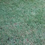 Naser jamal - @naserjamal3374 - Instagram