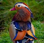 Naser Jamal Naser - Facebook