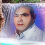 naserniknam - @naser13461968 - Instagram
