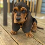 Copper Nash Miller - @copper_nash - Instagram
