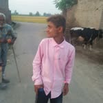 Nash singh - @nashsingh6 - Instagram